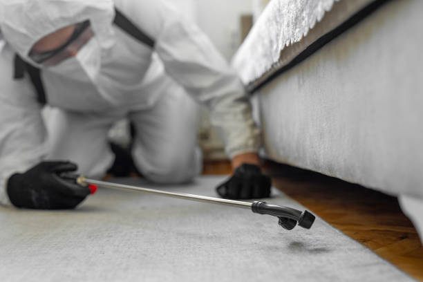 Professional Bed Bug Control technician working in Throop, PA