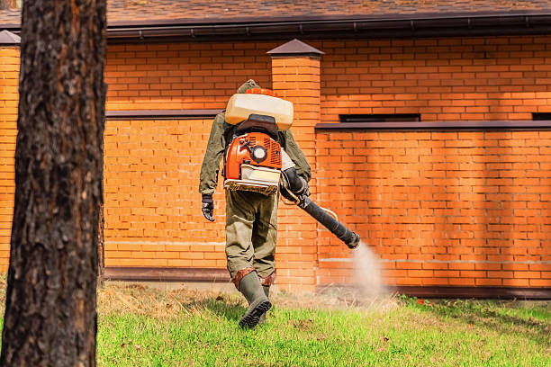 Top rated local Bed Bug Control specialists in Throop, PA